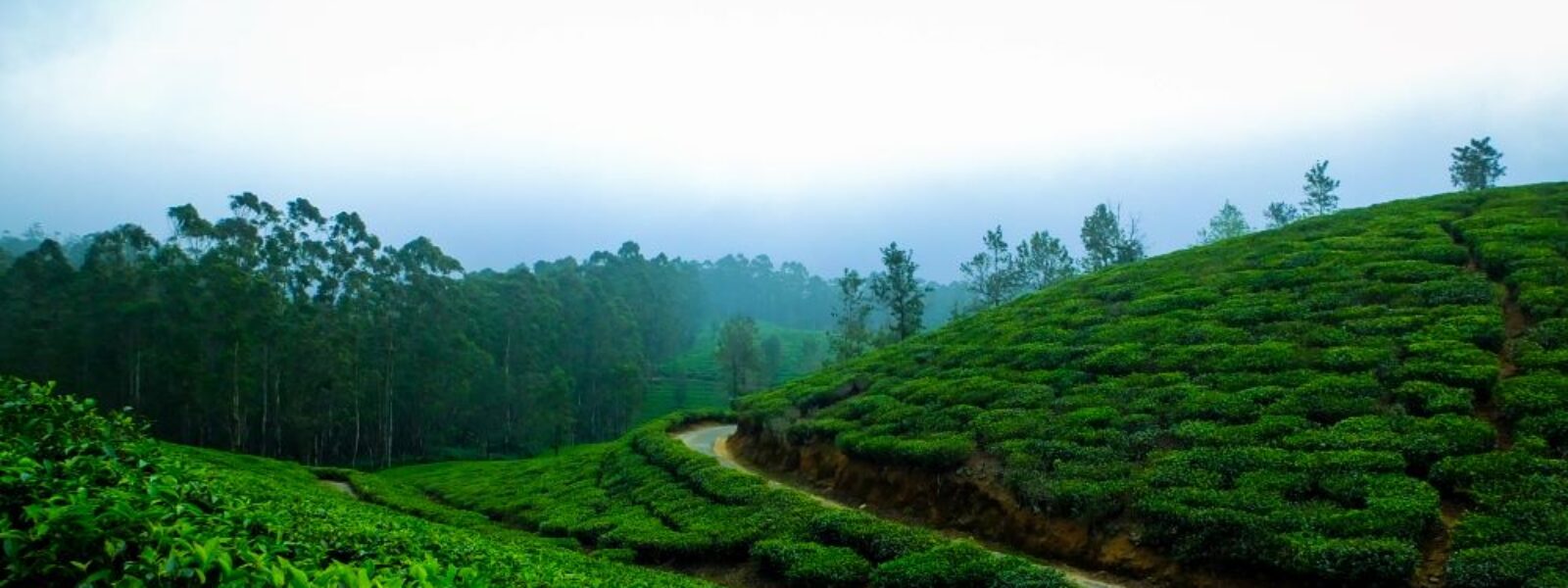 Coorg