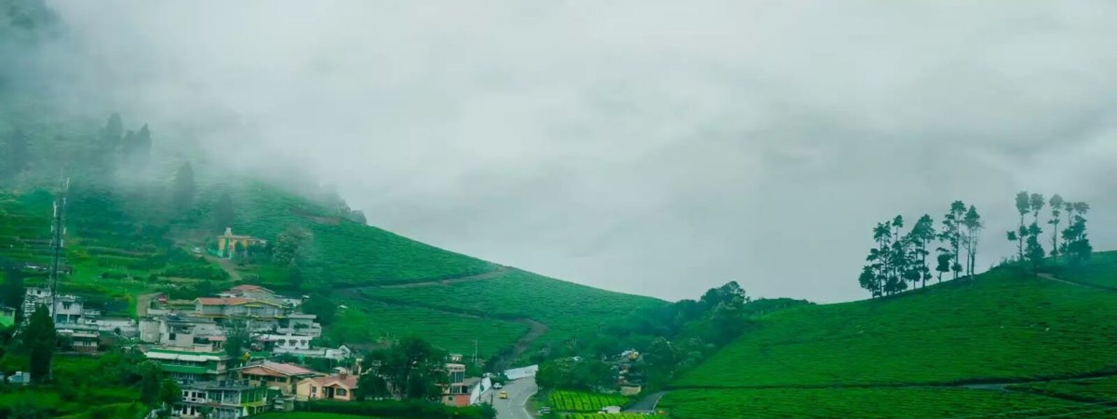 Ooty